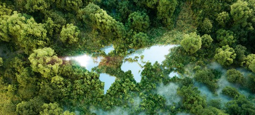 A World-Embracing Vision for a Sustainable Future