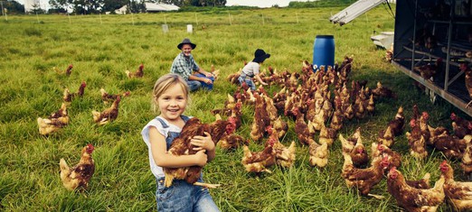 El imperativo espiritual de la bondad hacia todos los animales