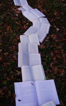 Dr. Anthony Lee and the Excavation of Buried Racial Narratives