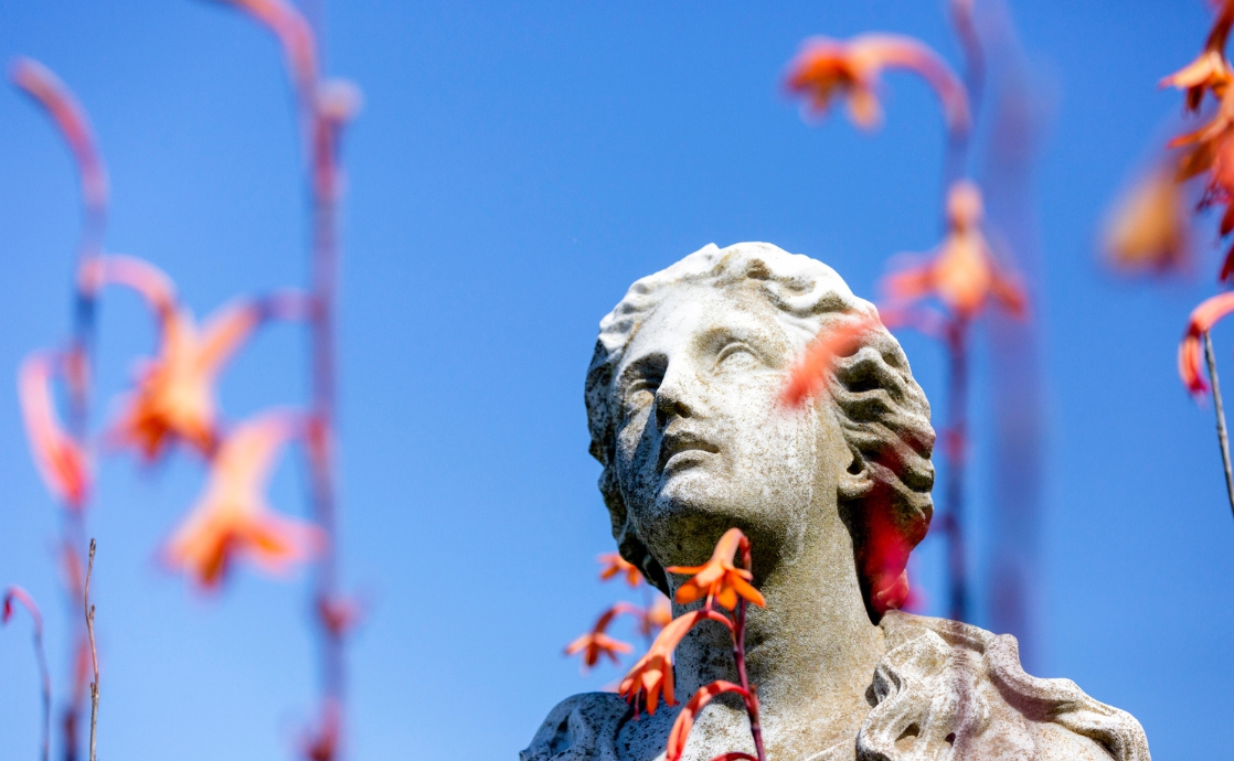 Does God Cause the Suffering of the Innocent?