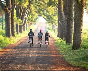 Accompaniment: Activating the Potential in Others