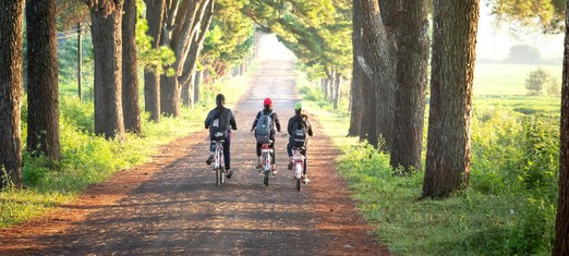 Accompaniment: Activating the Potential in Others