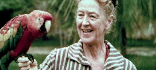 The Green Light Expedition: Meeting Indigenous Amazonian Baha’is