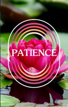 Patiently Striving to Create Beauty From Pain — With Radiance Talley