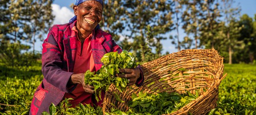 Farmer-led Earthquake Recovery Effort in Haiti Needs Your Help