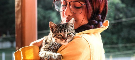 ¿Tienen los humanos cualidades que no tienen los animales?