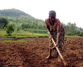 La agricultura: el ingrediente secreto de la paz mundial y la prosperidad