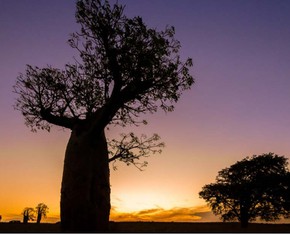 Aligning with Higher Principles