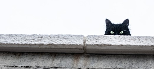 How Does Superstition Affect Us?