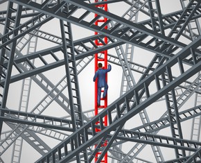 Surviving and Thriving, Despite the Chaotic Forces of Modern Life