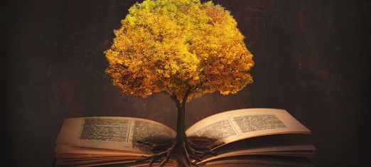 What Are the Baha’i Sacred Scriptures?