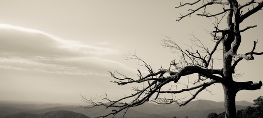 Why Religion Can Lead to Hostility & Hatred