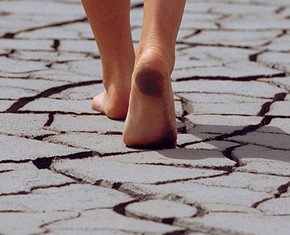 The Faith-Climate Connection