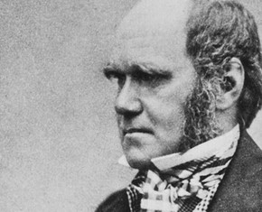 Did Darwin Discover Divinity?