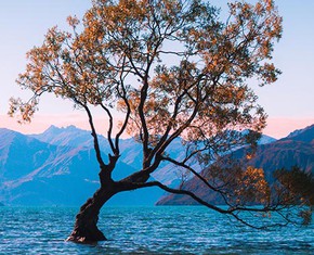 Does Nature Prove that God Exists?