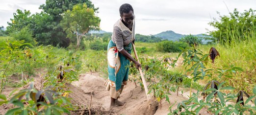 The Farmer: the First Active Agent in Human Society