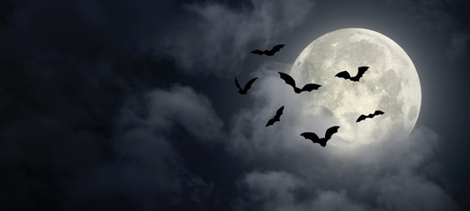 You’re Invited: A Halloween Chat on Evil — With Rainn Wilson