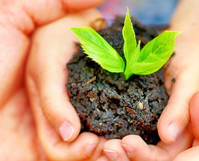 Has Humanity Matured Yet?