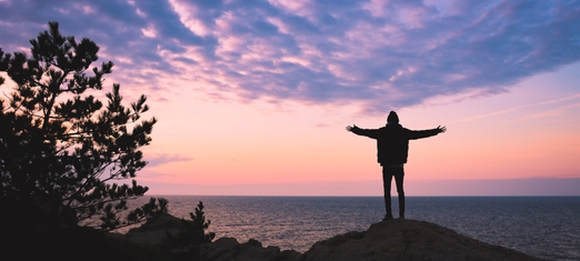 How to Actually Trust the Will of the Creator