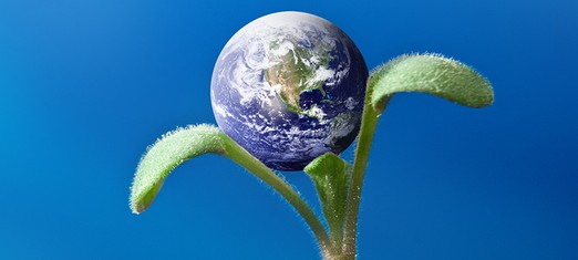 ¿Cómo podemos nutrir el futuro?