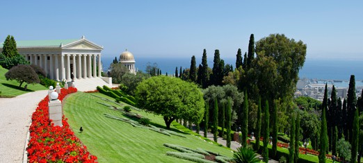 My Year of Service: A Journey of Faith, Friendship, and Commitment