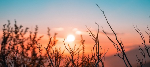 One Dramatic Symbol in Abdu’l-Baha’s Play