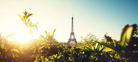 Escoger la esperanza, no el odio: Reflexiones sobre los bombardeos en París