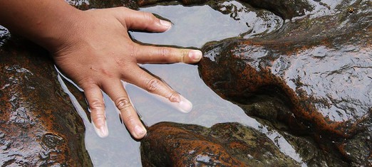 ¿Se pueden extinguir los seres humanos?