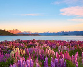 Signs of God’s Beauty in the Natural World