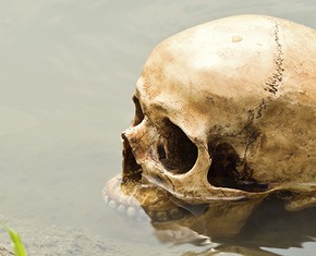 5 Good Reasons Not to Kill Anyone