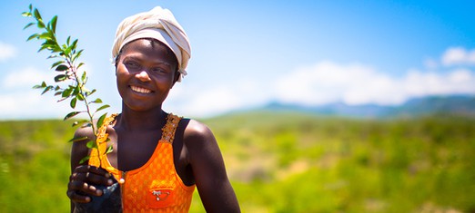 The Smallholder Farm Revolution: Developing Disruptive Solutions