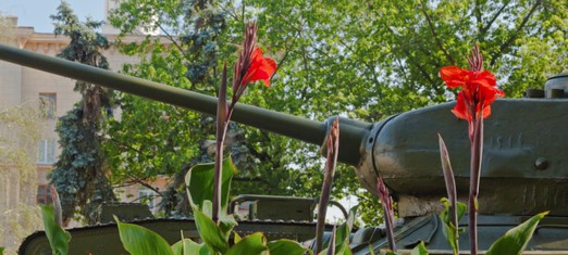 Nuclear Disarmament and the Blueprint for Peace