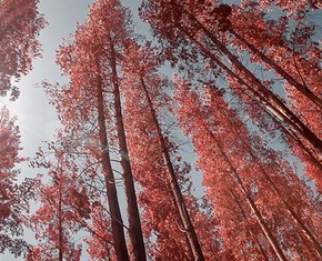 The Principle of the Power of the Holy Spirit