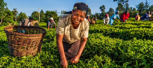 The Special Attention the Baha’i Faith Pays to Farmers