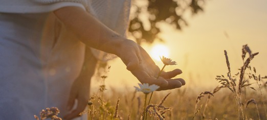 The Unseen Glory of Baha’u’llah’s Revelation