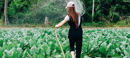 Mi jardín: cultivando un espíritu comunitario