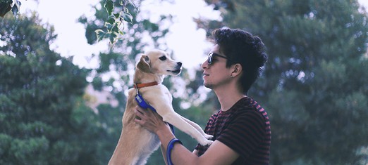 Unconditional Love, and a Tiny Little Dog