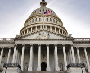 The Government We Deserve