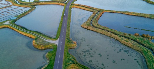 Our Water Crisis and What to Do About It