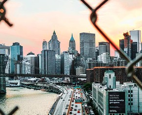 What is the Role of Wealth in Society?