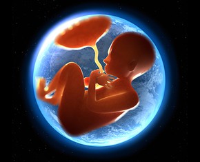 What’s the Purpose of Life?