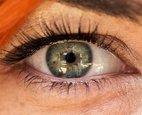 Why Are Human Beings So Complex?