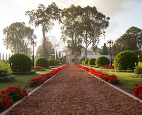 Why Do Baha’is Celebrate the Day of the Covenant?