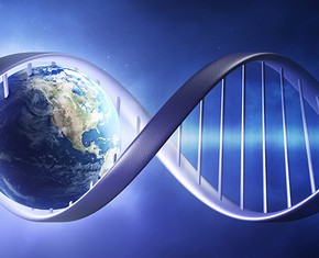 Why Science is Reality